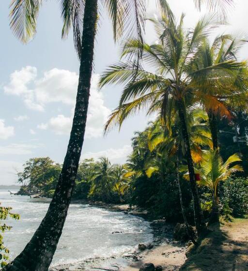 غرفة قياسية سرير كينج, Casa De Mono Bocas