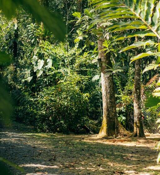 آپارتمان 3 خوابه, Casa De Mono Bocas