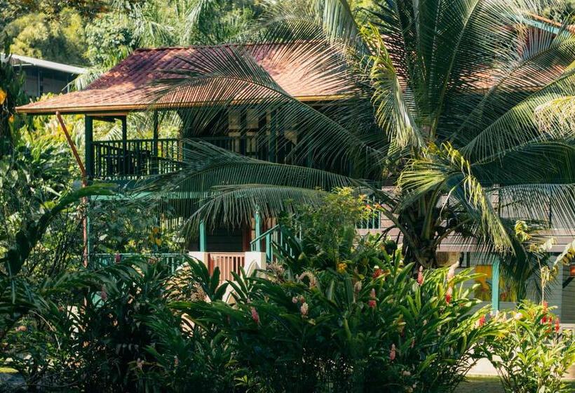 آپارتمان لوکس 1 خوابه, Casa De Mono Bocas