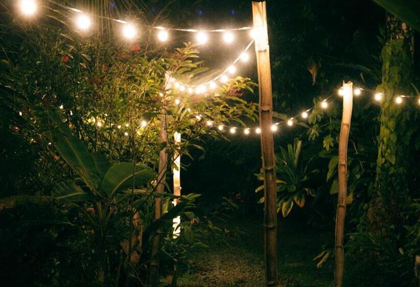 آپارتمان لوکس 1 خوابه, Casa De Mono Bocas