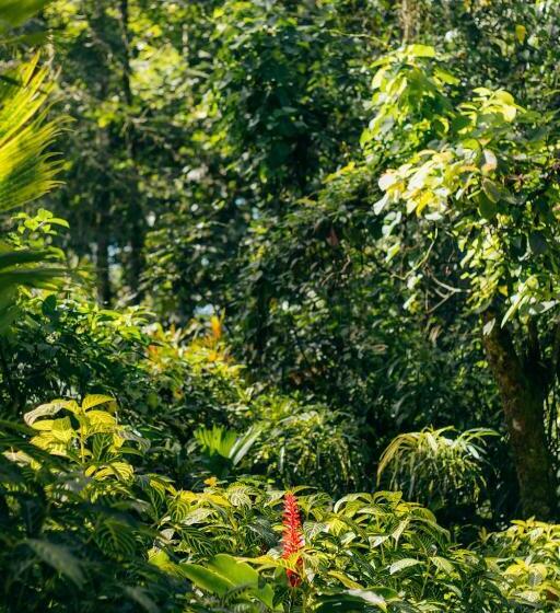 آپارتمان لوکس 1 خوابه, Casa De Mono Bocas