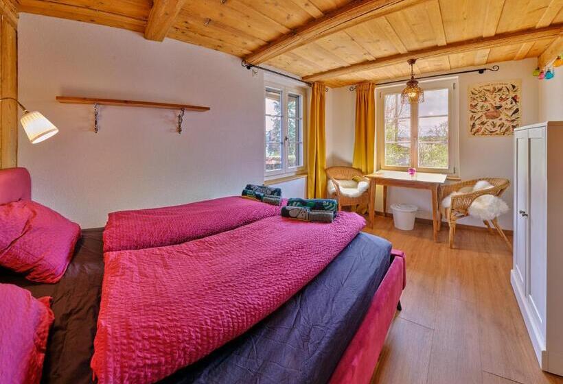Номер Стандарт, Uelis Stöckli Gästezimmer Auf Belebtem Bauernhof Mit Hotpot Und Alpakatrekking