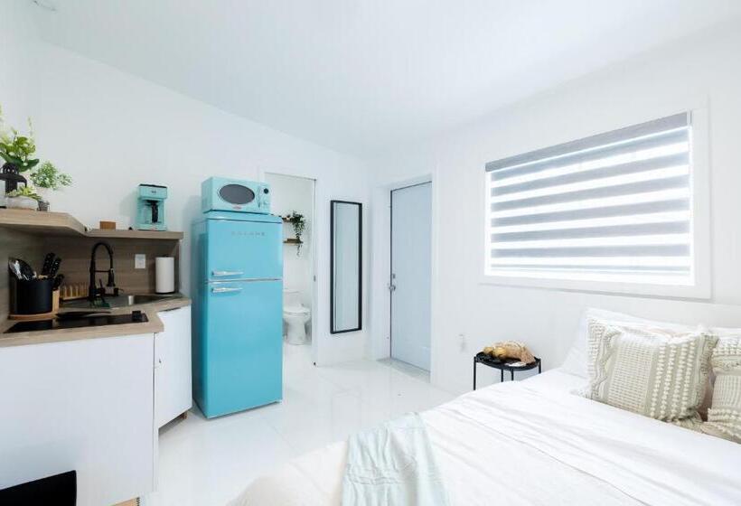 标准间, Blue Door   Miami Studio