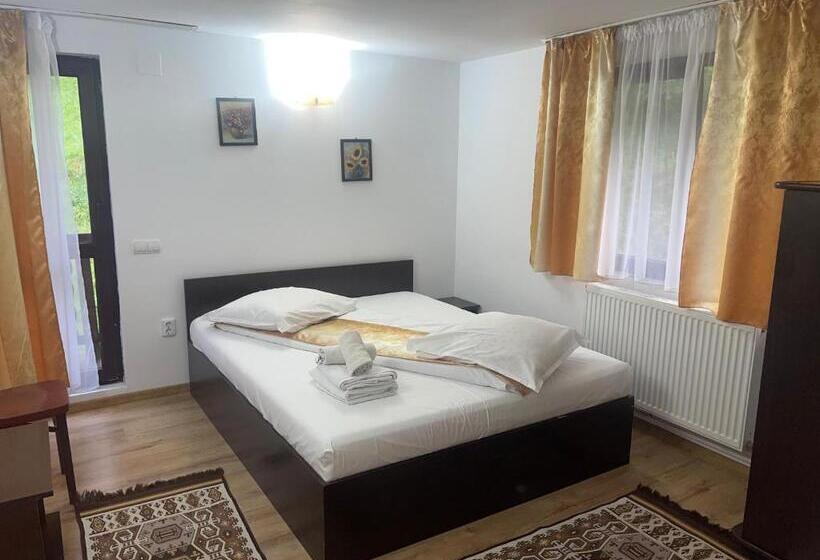 Дом 1 Спальня, Casa Maria Moieciu C