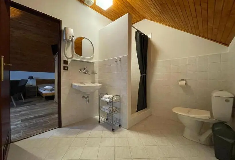 Deluxe Kolmen Hengen Huone, Pension Polonia