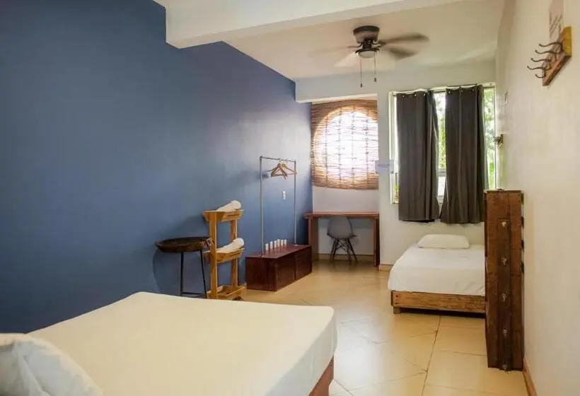 اتاق لوکس, Puerto Dreams H