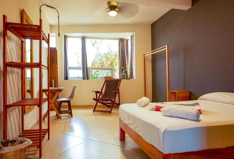 豪华房间, Puerto Dreams H