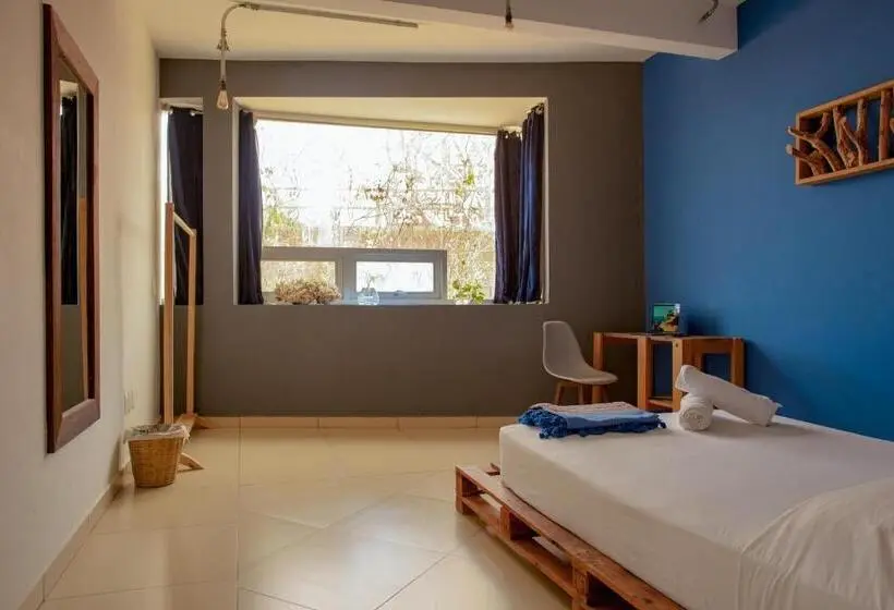 اتاق لوکس, Puerto Dreams H