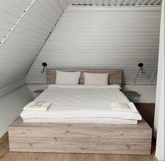 منزل غرفة نوم واحدة, Orlyne Gnizdo