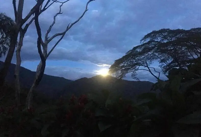 スタンダードルーム, Finca Hotel Los Azahares