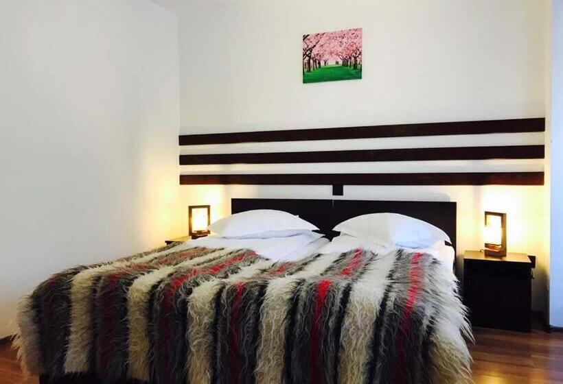 Номер Стандарт, Pensiunea Ciprian