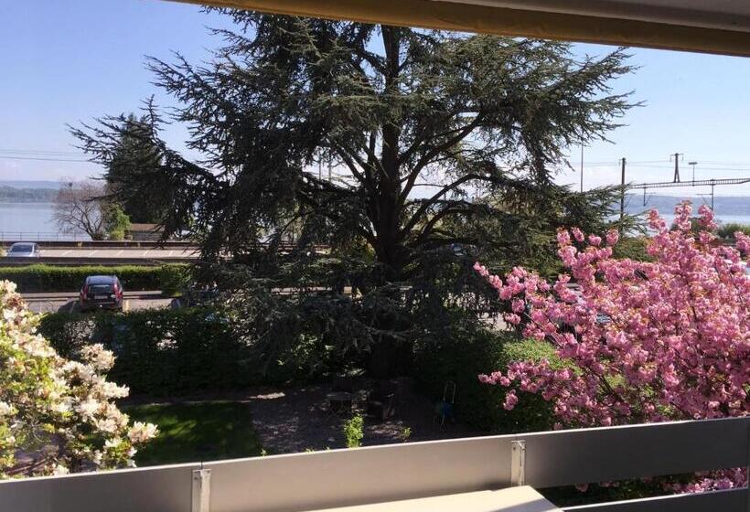 غرفة قياسية, Fontana Budget