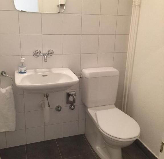 غرفة قياسية, Fontana Budget