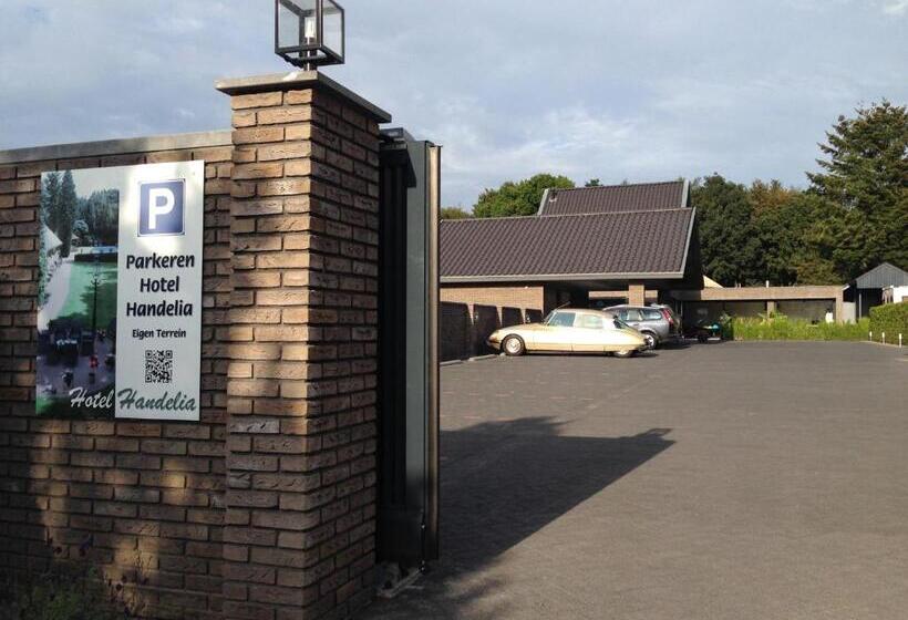 스탠다드 싱글 룸, Handelia