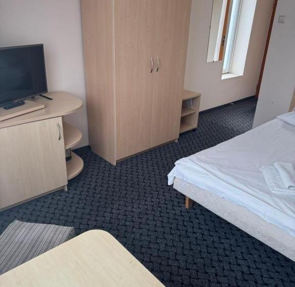 اتاق استاندارد یک نفره, Palangos Linas