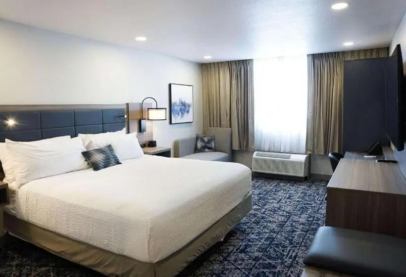 اتاق اجرایی با تخت بزرگ, Wyndham Dfw Airport