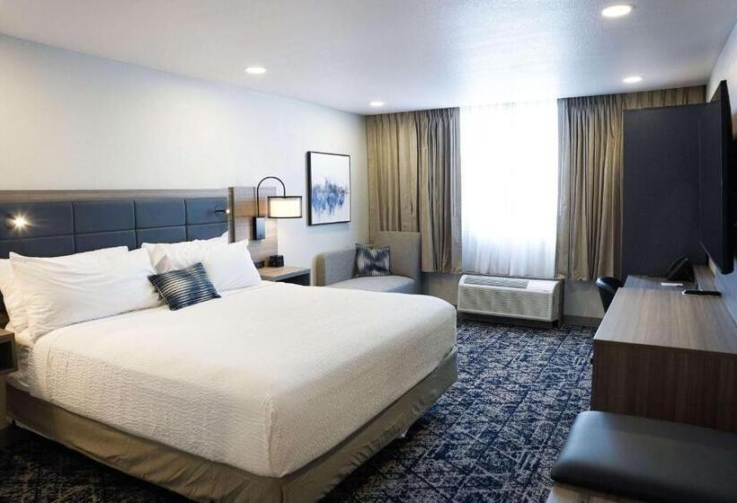 اتاق استاندارد با تخت بزرگ برای معلولان, Wyndham Dfw Airport