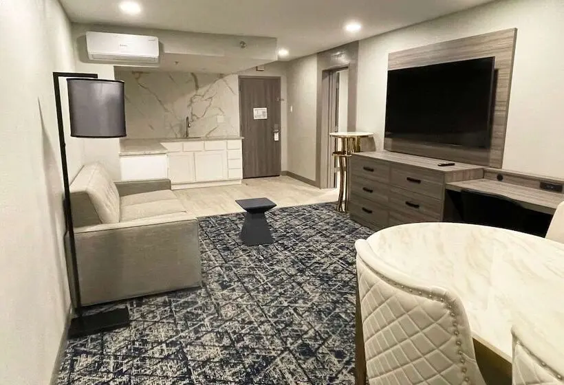 سوییت, Wyndham Dfw Airport