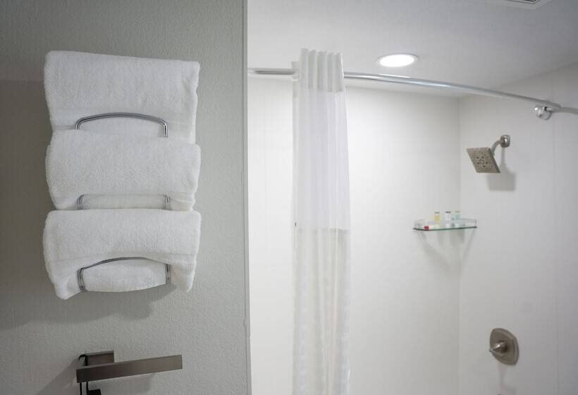 اتاق لوکس, Wyndham Dfw Airport