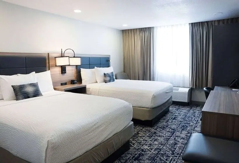 اتاق لوکس, Wyndham Dfw Airport