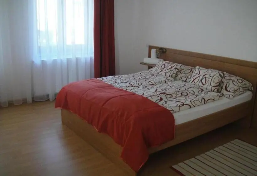 Standard-studio, Paks Panzió