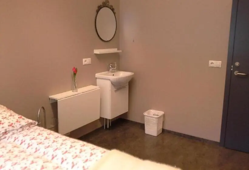 اتاق استاندارد با سرویس بهداشتی مشترک, Guesthouse Reynir