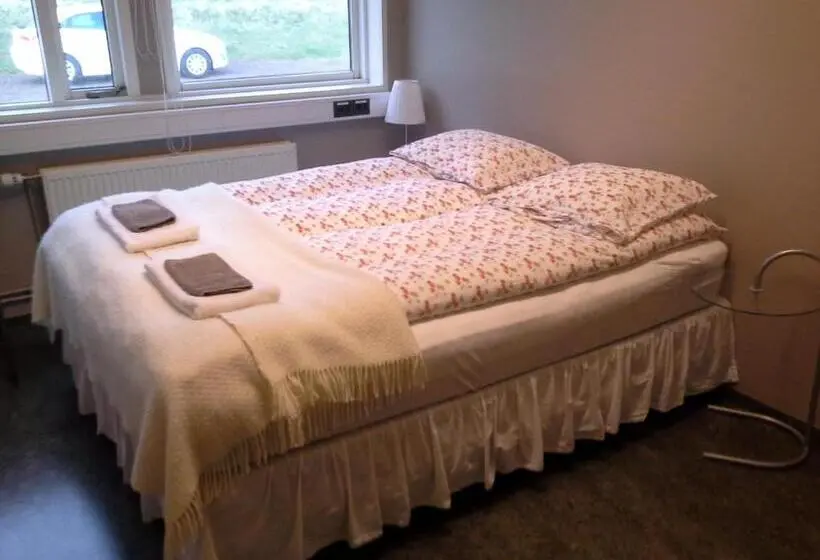 اتاق استاندارد با سرویس بهداشتی مشترک, Guesthouse Reynir
