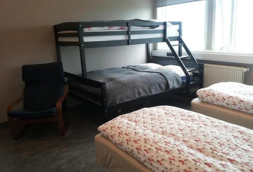 اتاق خانوادگی با سرویس بهداشتی مشترک, Guesthouse Reynir