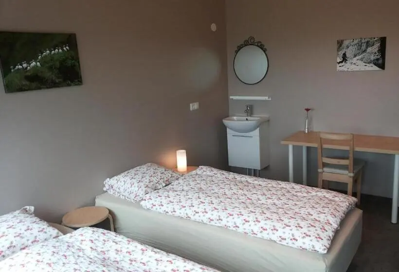 اتاق خانوادگی با سرویس بهداشتی مشترک, Guesthouse Reynir