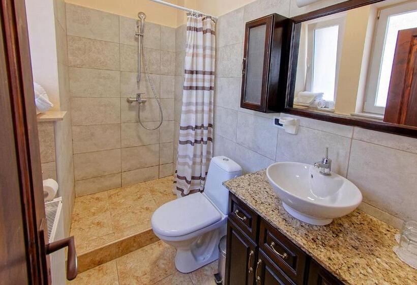 スタンダードルーム, Residence Castelului