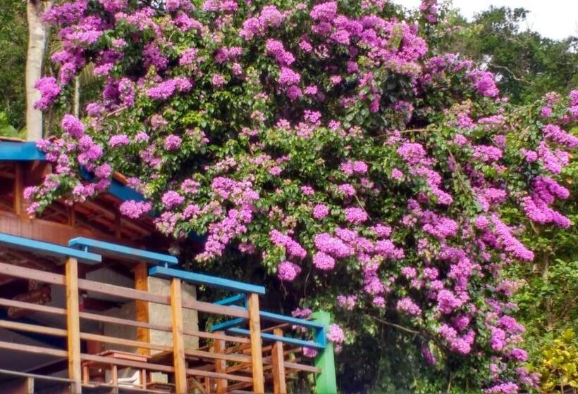 Ekonomik Oda, Waldhaus   A Pousada Do Remo