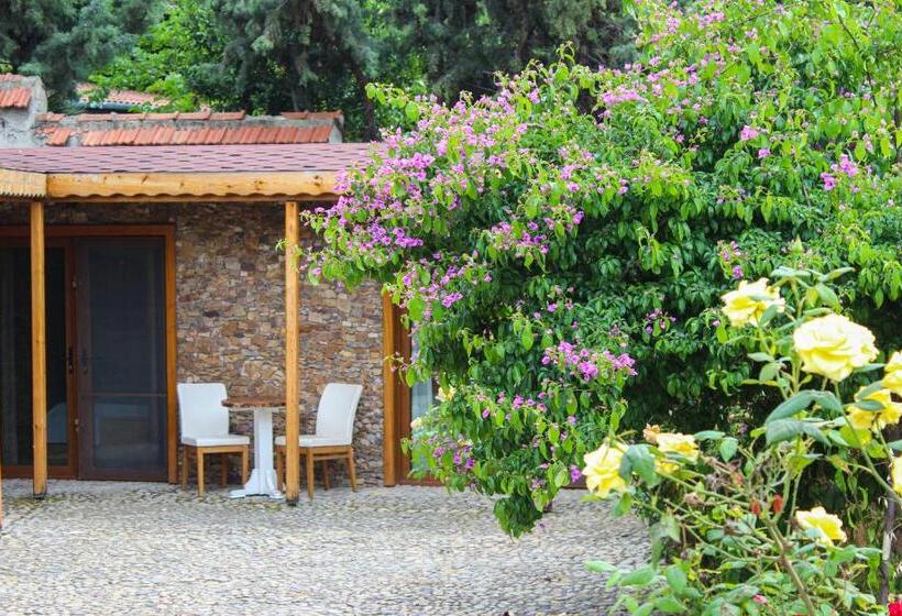 スタンダードインサイドビュールーム, The Roof Ada