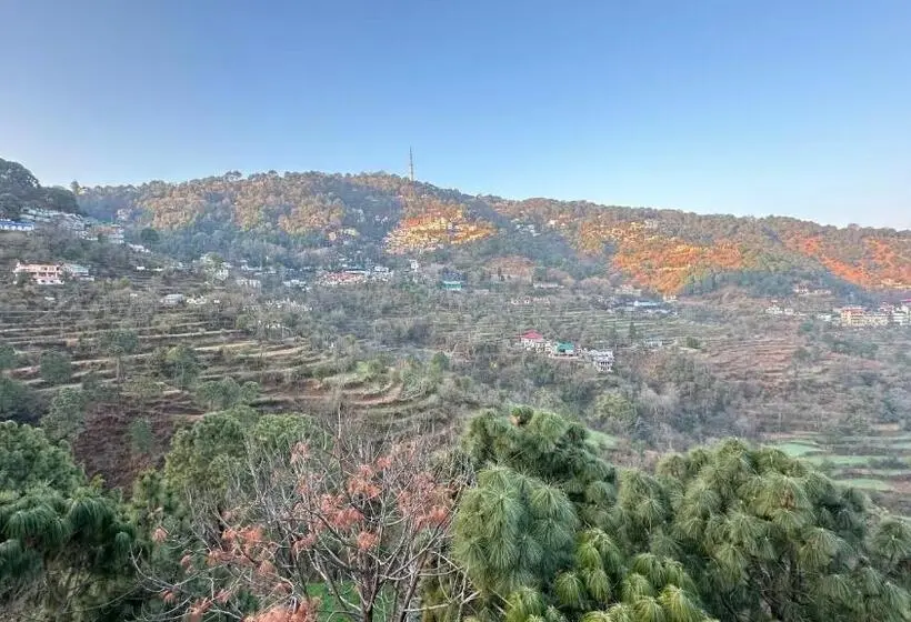 デラックスルーム, F S Kasauli