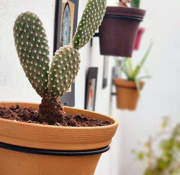 اتاق استاندارد با تخت بزرگ, Riad Dar Kassim