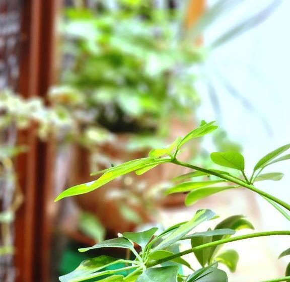 اتاق استاندارد, Riad Dar Kassim