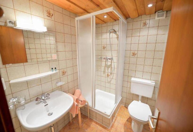 스탠다드 룸, Chalet Sonne Vandans