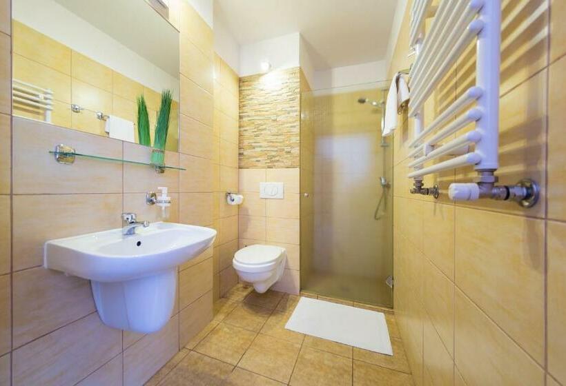 اتاق استاندارد, Góral Spa&wellness