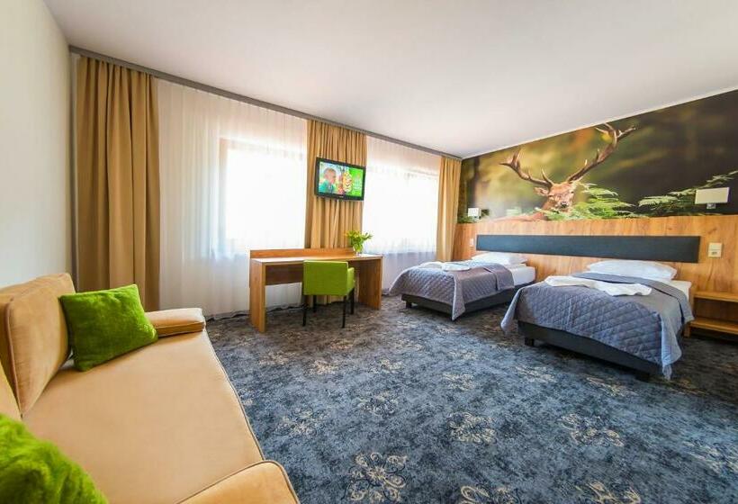 اتاق استاندارد, Góral Spa&wellness