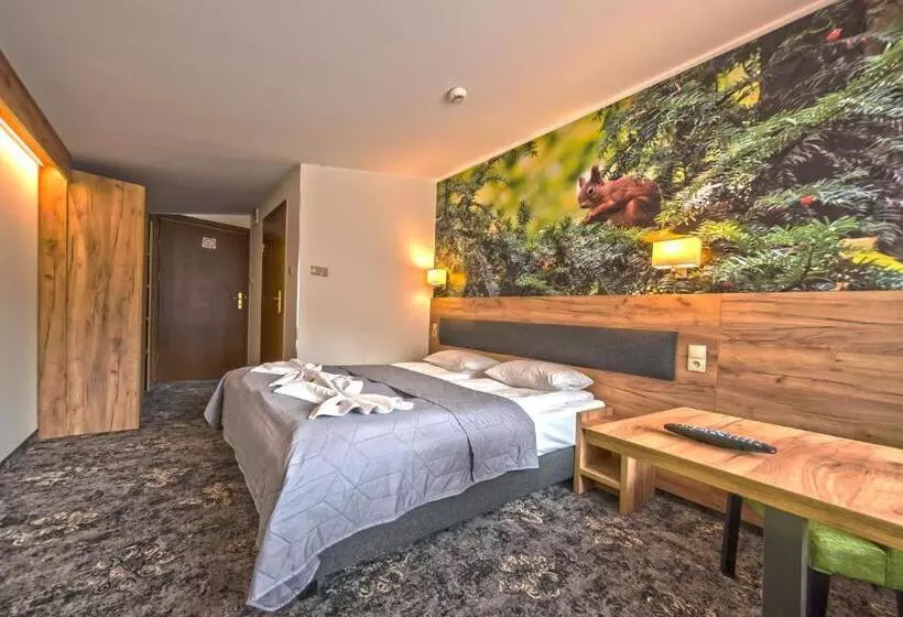 スタンダードシングルルーム, Góral Spa&wellness