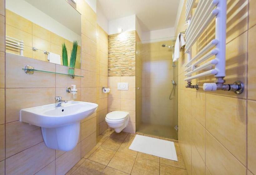 اتاق استاندارد یک نفره, Góral Spa&wellness