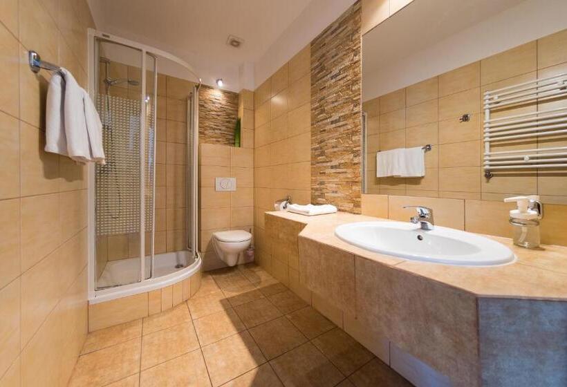 Четырехместный Номер Стандарт, Góral Spa&wellness