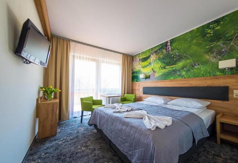 اتاق استاندارد, Góral Spa&wellness