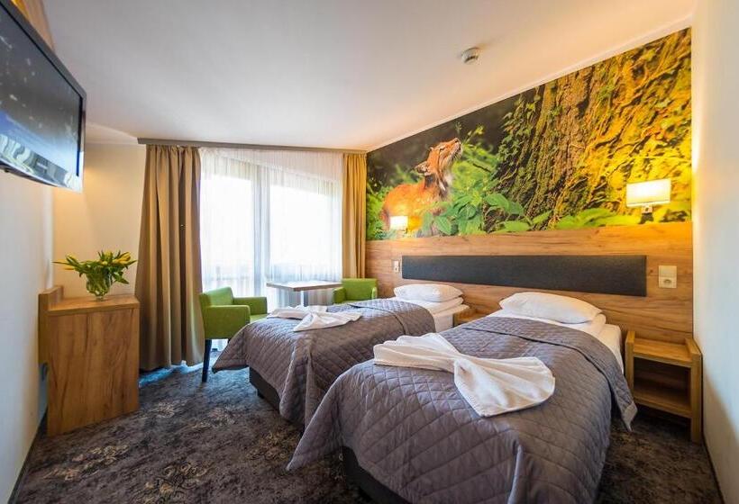 اتاق استاندارد, Góral Spa&wellness