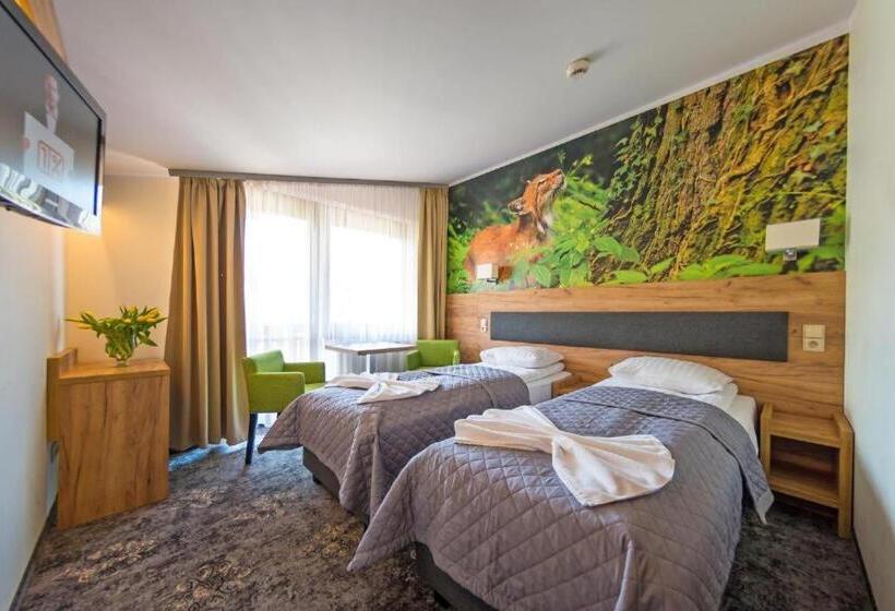 اتاق استاندارد, Góral Spa&wellness