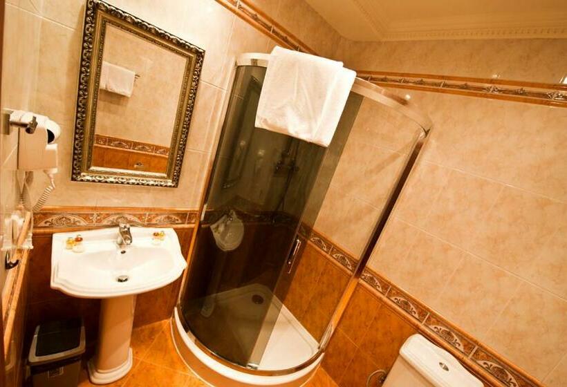 חדר סטנדרט יחיד, Pałacyk Otrębusy Business & Spa