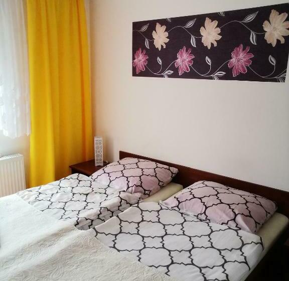 غرفة قياسية, Pasja