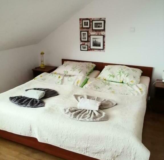 غرفة قياسية رباعية, Pasja