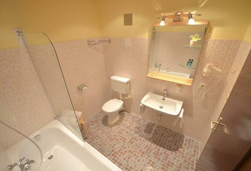 스탠다드 룸, Chalet Sonne Vandans