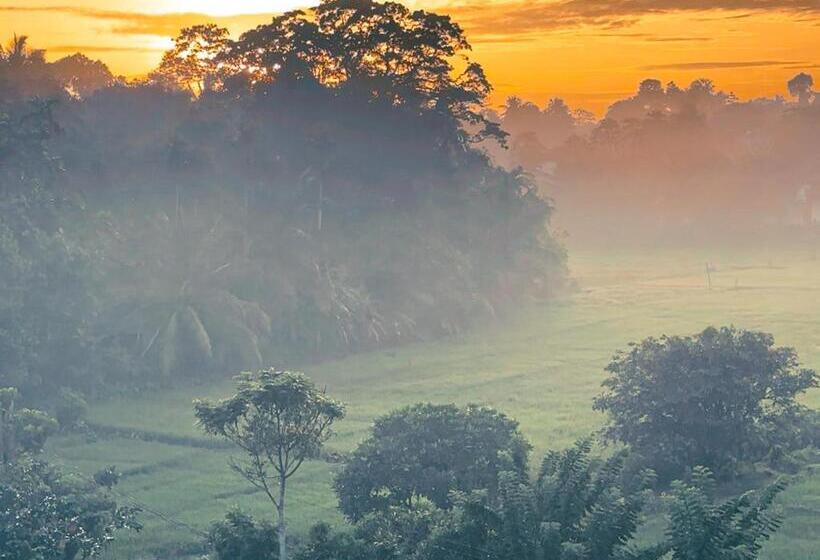 기본룸, Ceylon S House