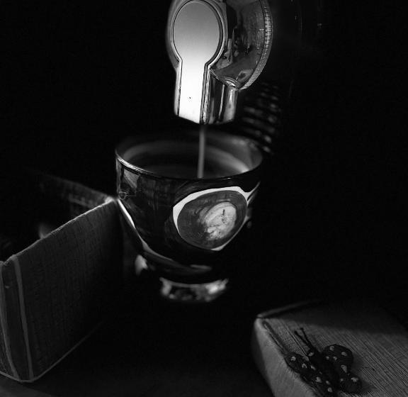 Casa 1 Quarto, Dancing Dugong